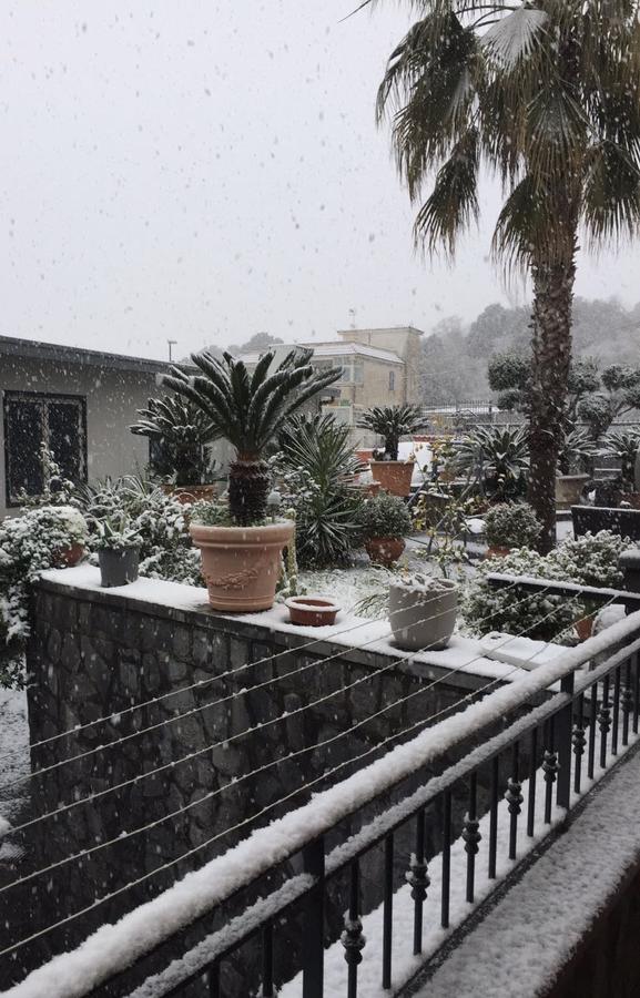 Carpe Diem B&B Ercolano Dış mekan fotoğraf